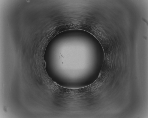 X0000092111057200709121614