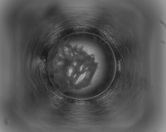 X0000092111059200709121614