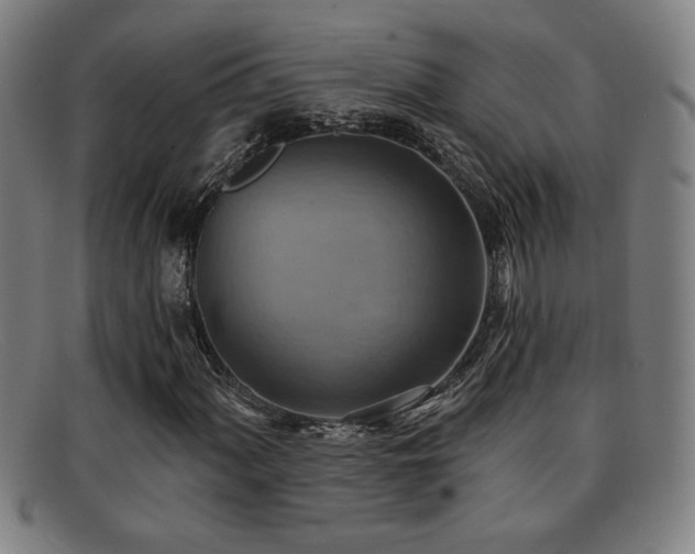 X0000092111060200709121614