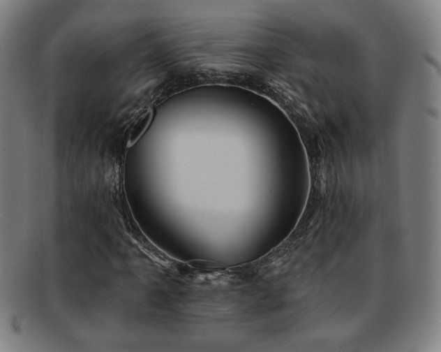 X0000092111061200709121614