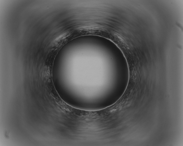 X0000092111062200709121614