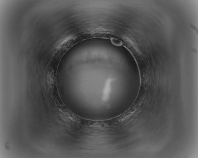 X0000092111063200709121614