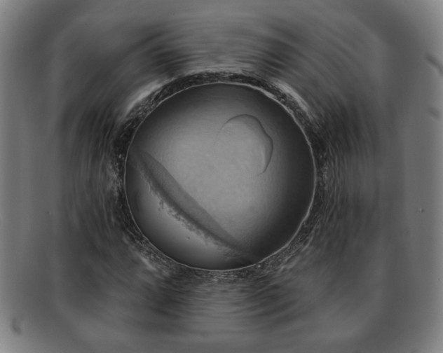 X0000092111064200709121614