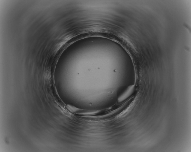 X0000092111065200709121614