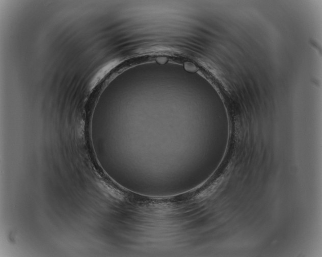 X0000092111066200709121614