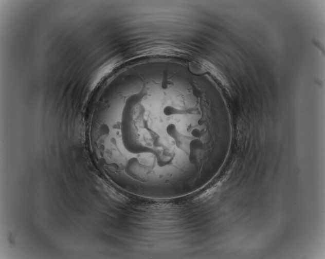 X0000092111067200709121614