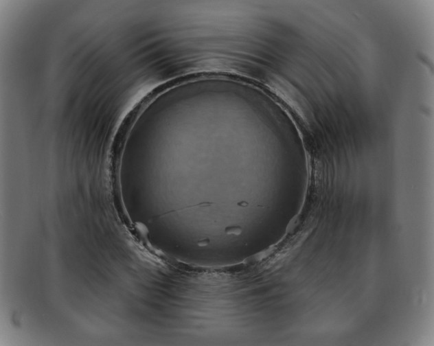 X0000092111068200709121614