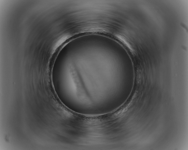 X0000092111071200709121614