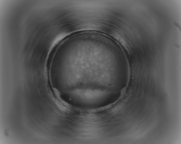 X0000092111072200709121614