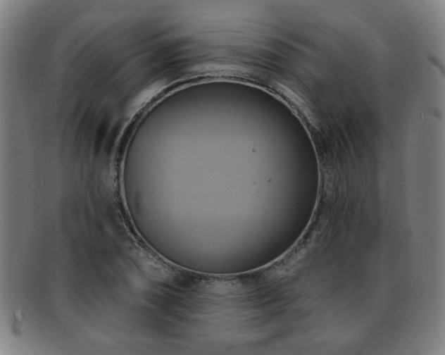 X0000092111074200709121614