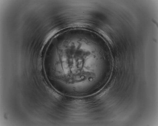 X0000092111075200709121614