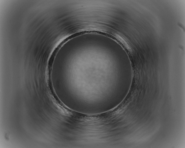 X0000092111076200709121614