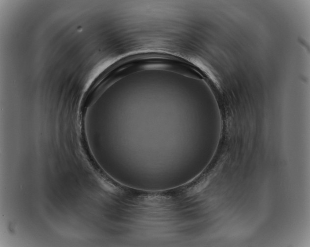 X0000092111077200709121614