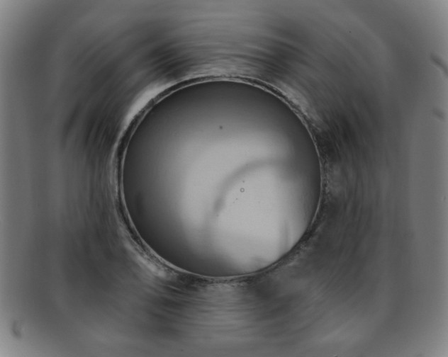 X0000092111078200709121614