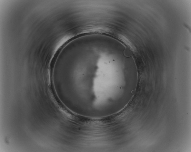 X0000092111079200709121614