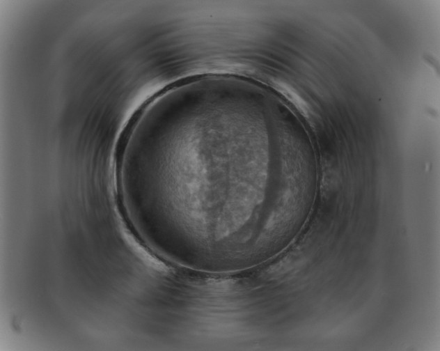 X0000092111080200709121614