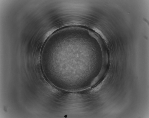 X0000092111081200709121614