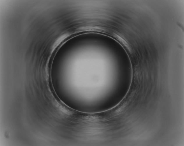 X0000092111082200709121614