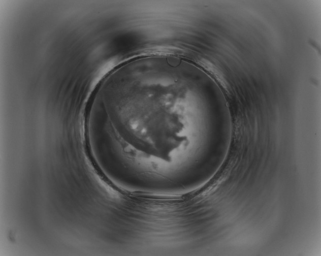 X0000092111083200709121614