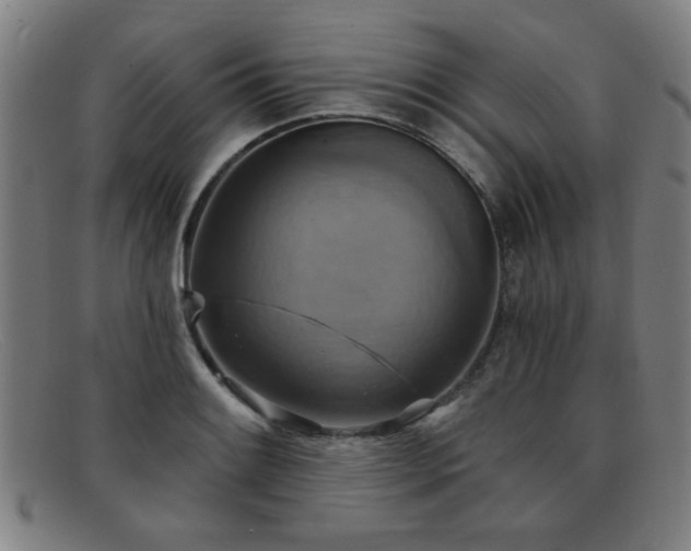 X0000092111084200709121614