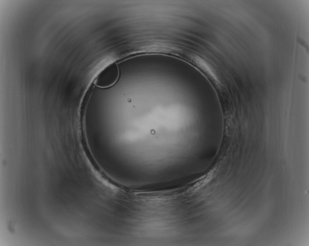 X0000092111087200709121614