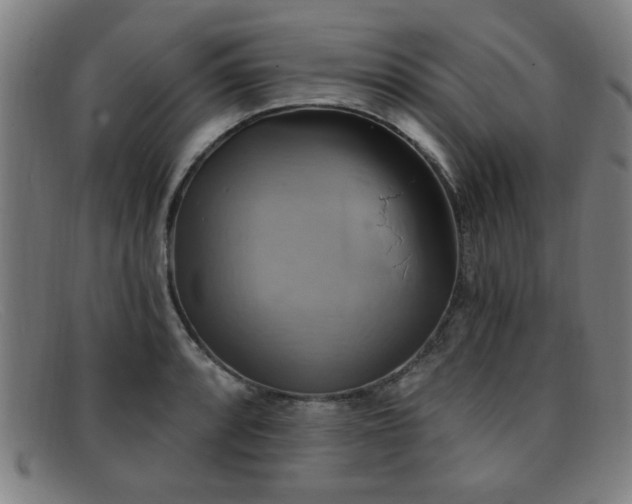 X0000092111088200709121614