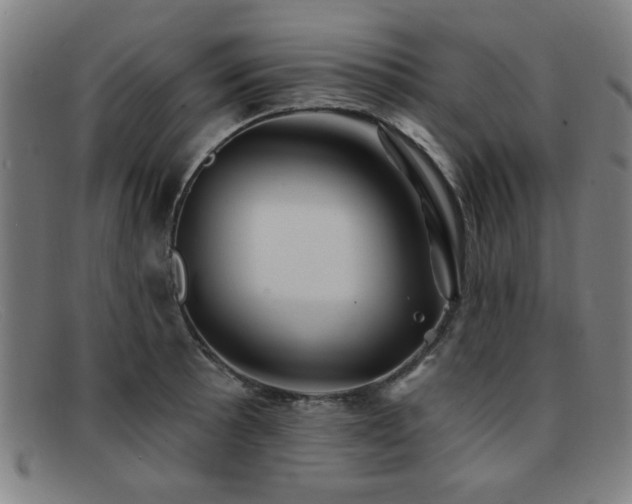 X0000092111089200709121614