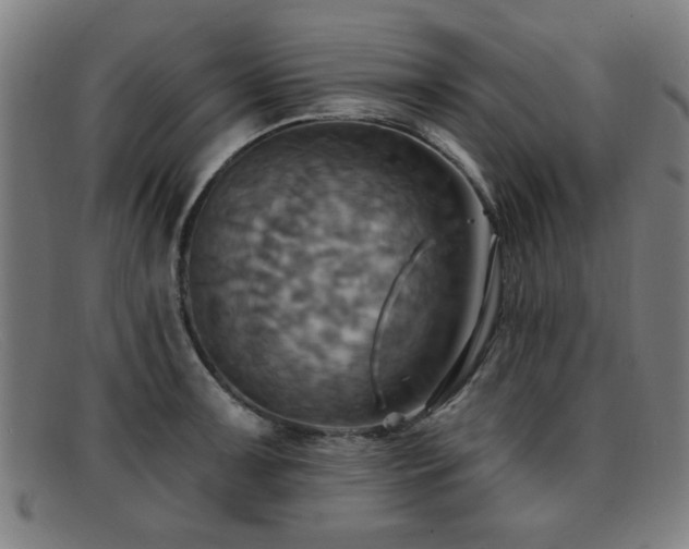 X0000092111091200709121613