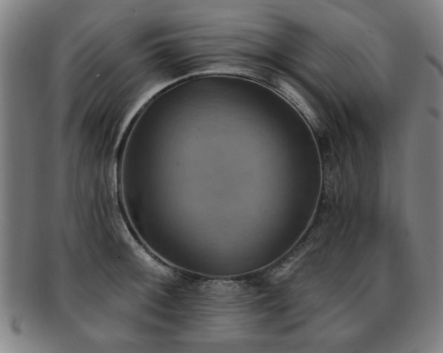 X0000092111092200709121613