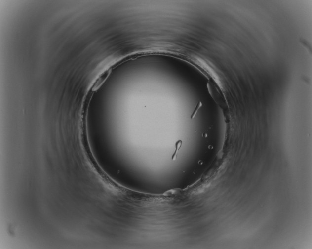 X0000092111093200709121613