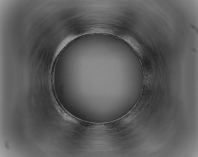 X0000092111094200709121613