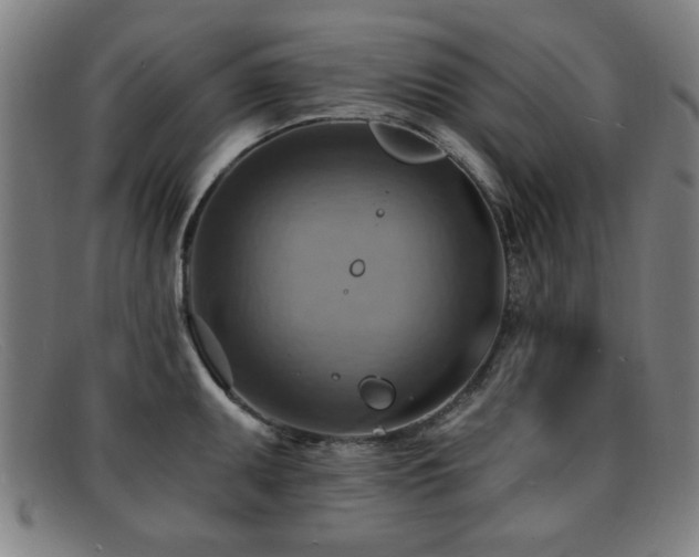 X0000092111095200709121613