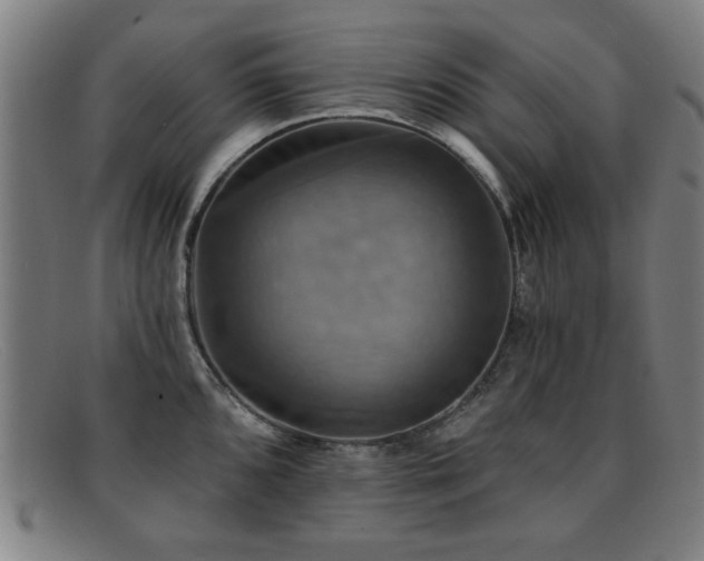 X0000092111096200709121613