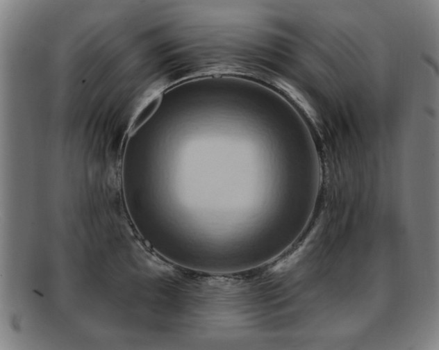 X0000092111097200709121613