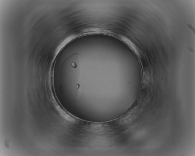 X0000092111098200709121613