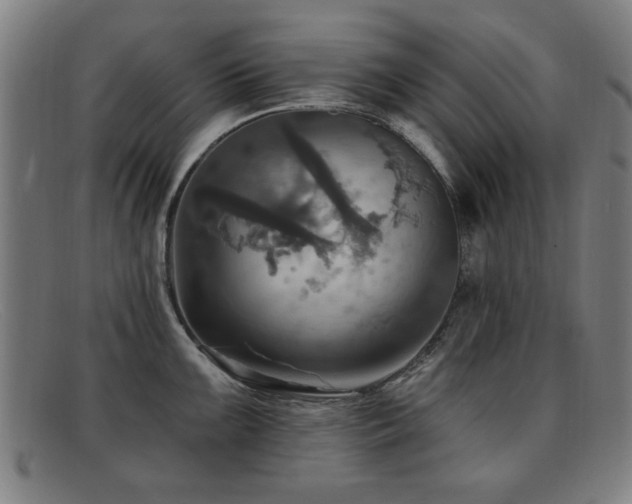 X0000092111099200709121613