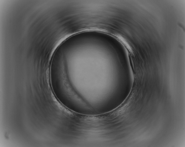 X0000092111100200709121613