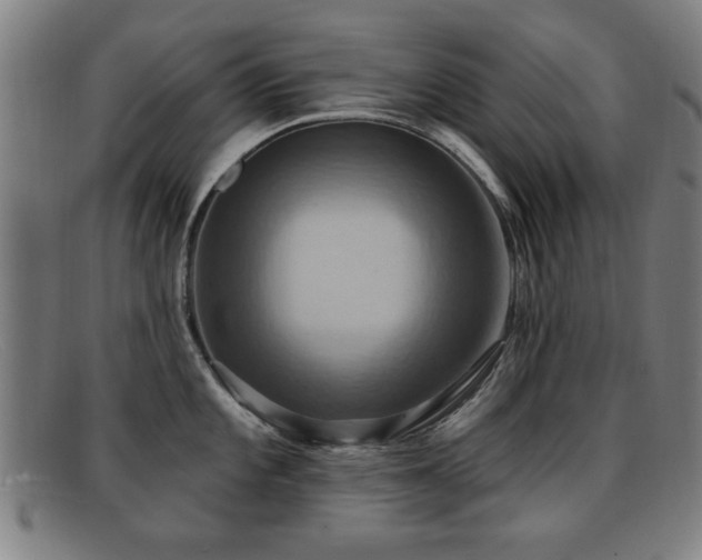 X0000092111101200709121613