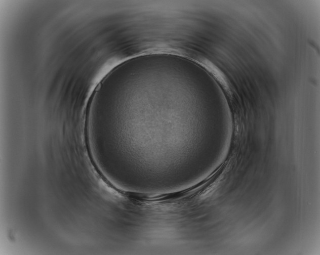 X0000092111102200709121613