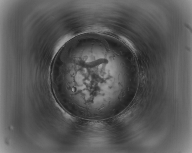 X0000092111103200709121613