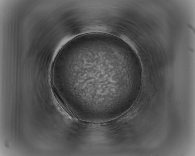 X0000092111104200709121613