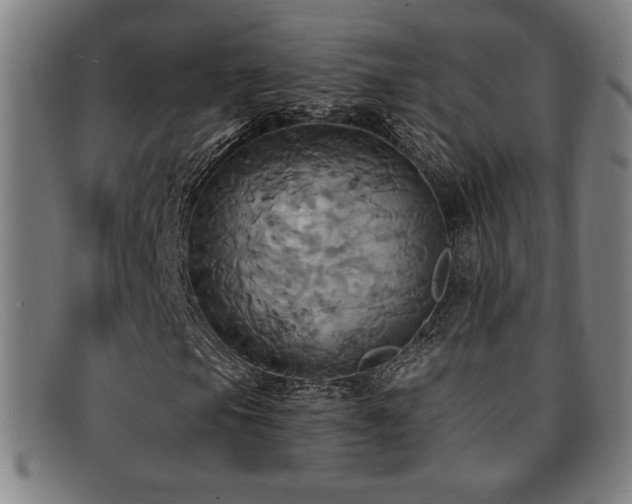 X0000092111105200709121613