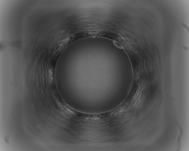 X0000092111106200709121613