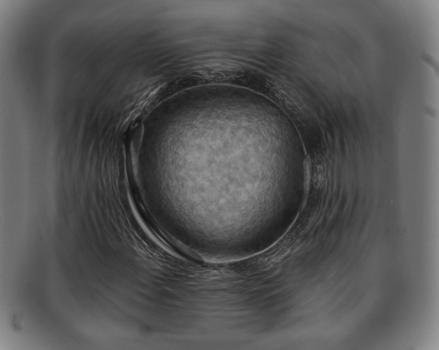 X0000092111108200709121613