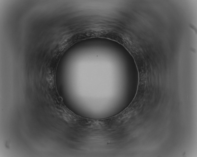 X0000092111109200709121613