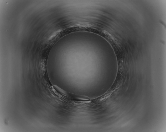 X0000092111110200709121613