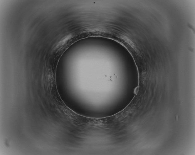 X0000092111111200709121613