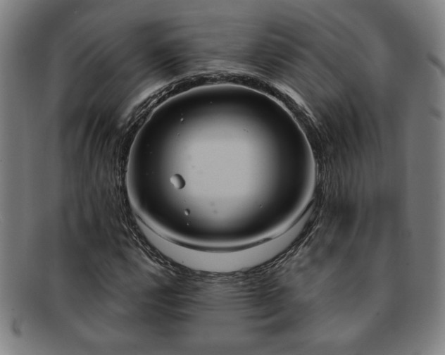 X0000092111112200709121613