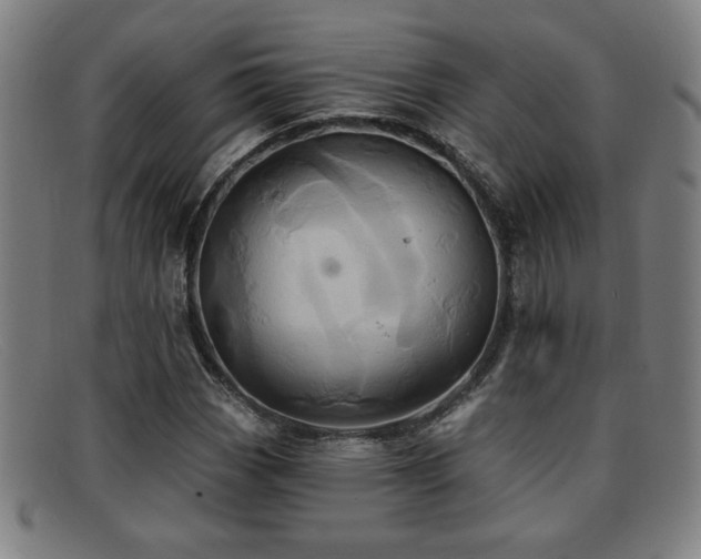 X0000092111113200709121613