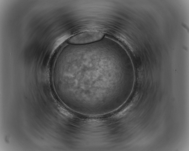 X0000092111114200709121613